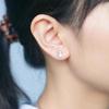 925 Silver Large Cat Earrings For Women Jewelry Korean Earrings Pendientes Brincos