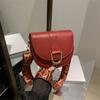 High value foreign style small bag women 2025 new trendy fashion versatile messenger bag Internet celebrity shoulder saddle bag