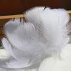 100pcs Goose Feathers for Crafts 4-8cm Swan Plumes Wedding Party Handicraft Accessories Decoration Dream Catcher Feathers