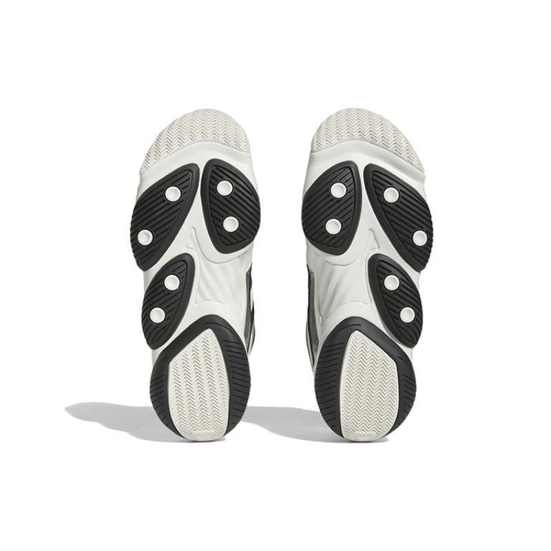 Adidas Top Zece 2010 Adidași Largi 'Alb Negru Argintiu' HR0099