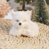 New Plush Simulation Furry Fox Model Squatting Sitting Fox Table Decoration Animal Static Stuffed Figure Kid Party Festival Gift