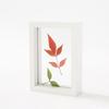 Wooden Glass Leaf Specimen Frame Double-sided Transparent Paper-cut Picture Frame Thicked Photo Display Frame Home Decoration