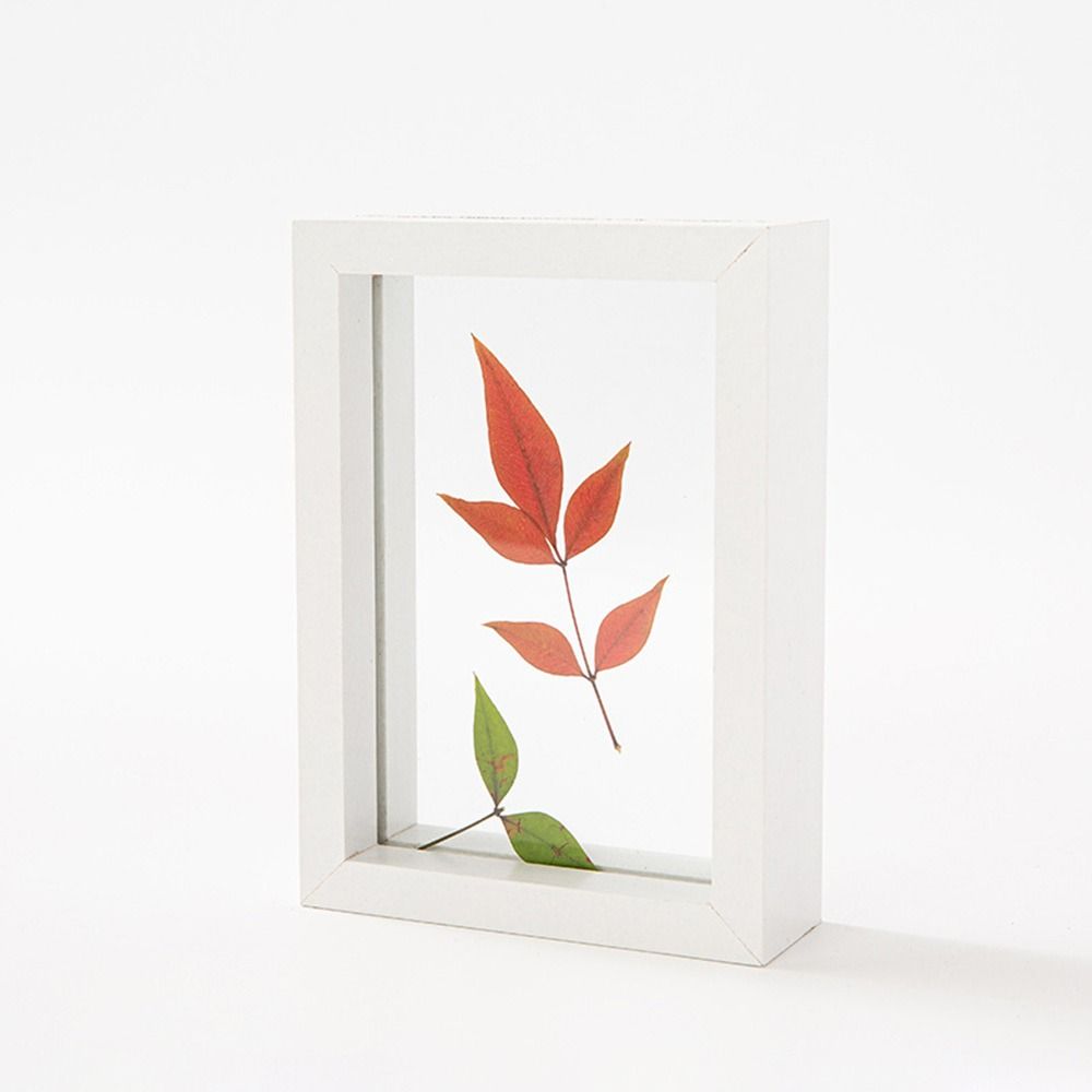 Wooden Glass Leaf Specimen Frame Double-sided Transparent Paper-cut Picture Frame Thicked Photo Display Frame Home Decoration