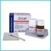 Prevest Denpro Zical Root Canal Sealant, Paste Form For Permanent Filling Dental Root Canals