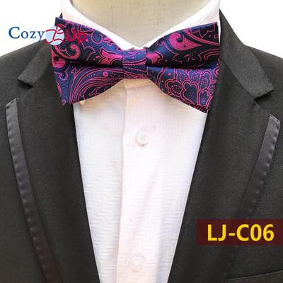 Modisches blaues Paisley-Fliege-Set für Männer, Hochzeit, Geschäftsfeier, luxuriöse vorgebundene Herren-Fliege als Geschenk