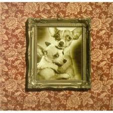 

CD CLAM ABUSE - Stop Thinking INFERNAL001CD Infernal Record 1999 UK Rock Used