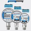 Chi Weng High-Precision Digital Pressure Gauge