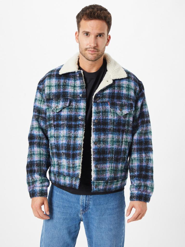 Демисезонная куртка Levi's Type 3 Sherpa Trucker Jacket Vintage Fit multi/color