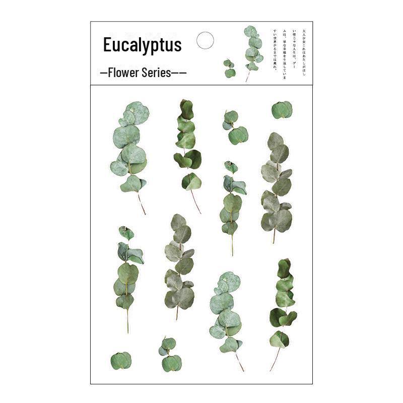 

Мистер. Наклейки из бумаги PET с цветами: Свежие цветочные рисунки чернилами для самостоятельного декора