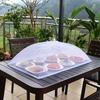 Copertura Pieghevole in Rete per Cibo Pop-Up Ombrello Anti Mosche e Zanzare per Cucina Picnic all'Aperto Traspirante Protettore per Frutta Verdura Pasti