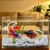 Betta Trainingsringe Auspowern reduziert Langeweile Runde Haustierfisch-Beschäftigung Saugnapf Fisch-Trainingsring für Aquarium-Dekoration