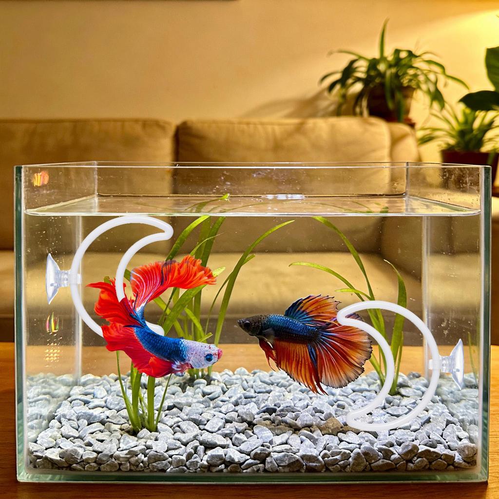 Betta Trainingsringe Auspowern reduziert Langeweile Runde Haustierfisch-Beschäftigung Saugnapf Fisch-Trainingsring für Aquarium-Dekoration