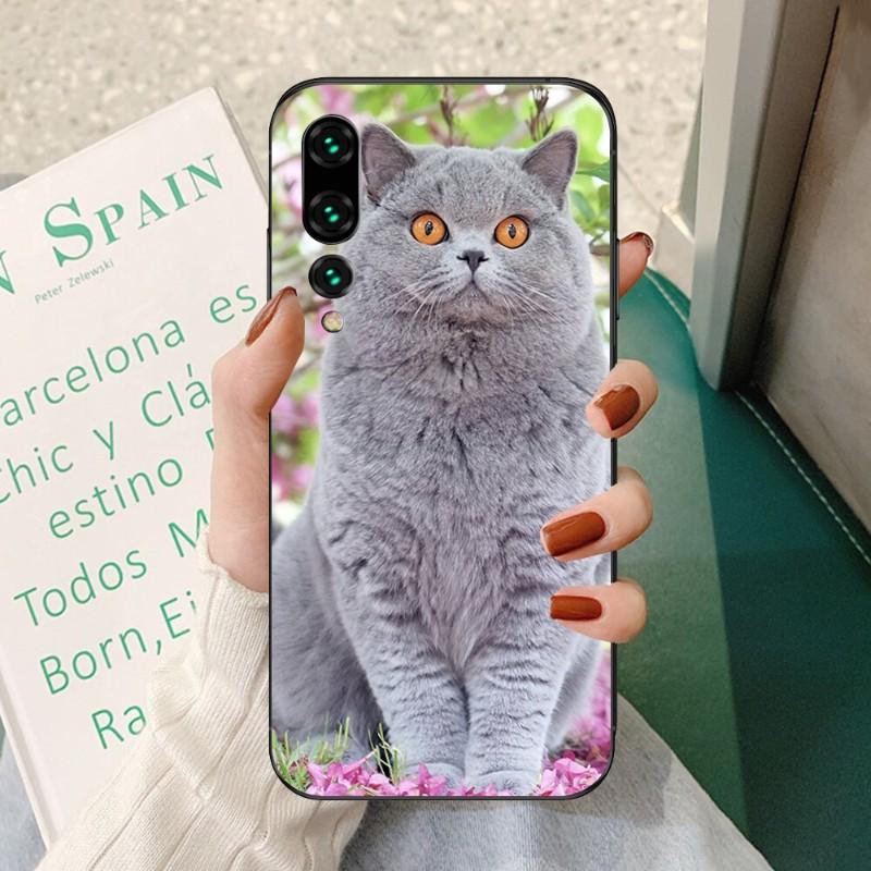 

Красивый серый чехол для телефона с британской короткошерстной кошкой для Huawei P50 P40 P30 Pro Lite P Smart 2021 2019 Magic 3, мягкий черный чехол для телефона Huawei Magic 3 Pro