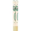 Skater ANT4-A Bamboo Safety Chopsticks, 21cm, Hangyodon Friends, Sanrio Chopsticks