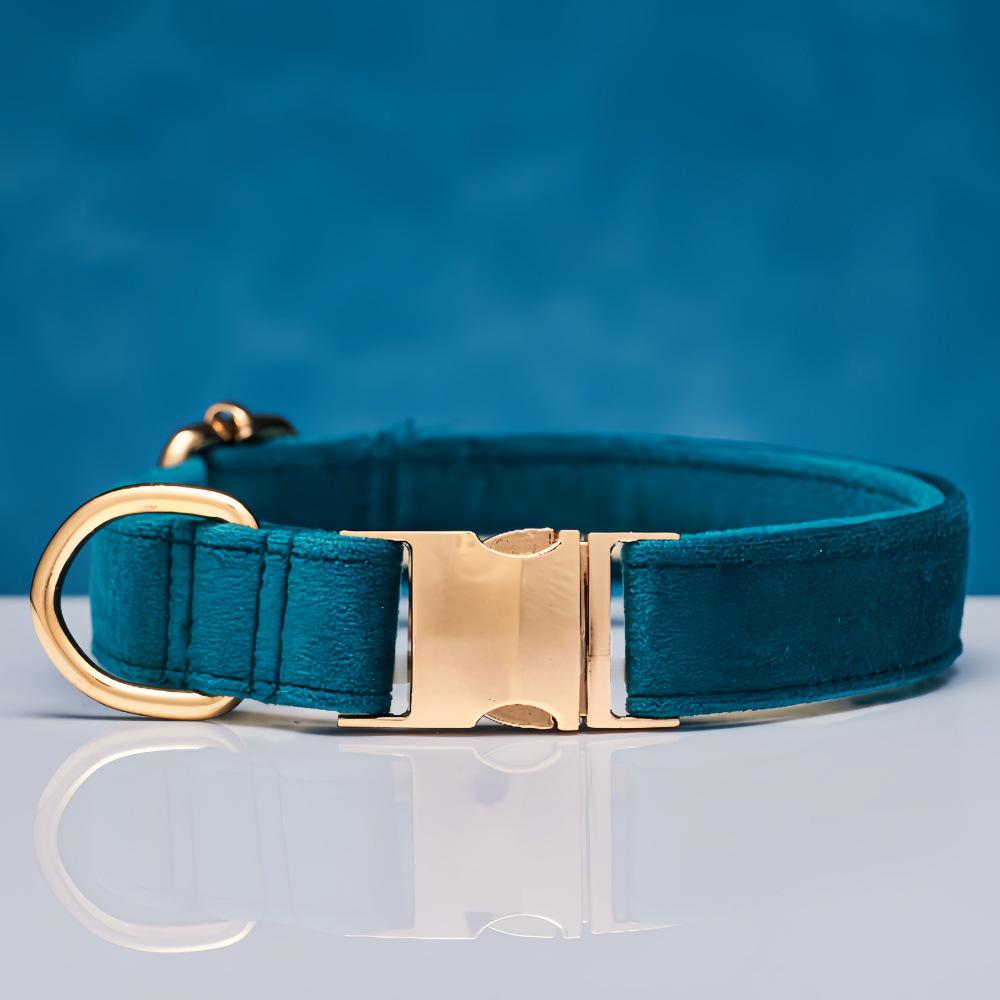 Ensemble collier et laisse pour chien en velours gravé avec boucle métallique réglable