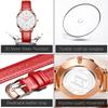 Women's Watch, Blue, Stylish, Hand Watch, Waterproof, Ultra-thin, Women's Leather Belt, Brand, Leather, Analog, Small, Simple Dial, Easy to Read, Fash