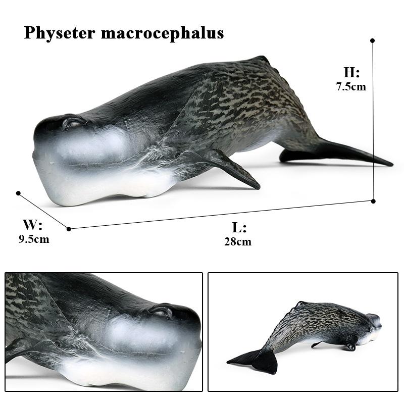 Oenux Ocean Animal Savage Megalodon Beluga Big Shark Orca Sperm Blue Whale Action Figures Sea Life Model Educational Kids Toy
