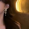 Silver Needle Rhinestone Water Drop Tassel Earrings: Elegant, High-End Fashion Accessory for Women.