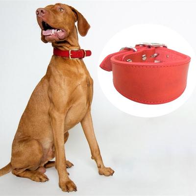 Verstellbares breites Hundehalsband Weiche strapazierfähige Haustierhalsbänder Riemen Bequemes Rindsleder Hundeaccessoires Italienische Windspiele