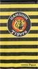 Hanshin Tigers Noren (Curtain) - Official Hanshin Tigers Championship Merchandise, 2023 Baseball Koshien Border