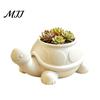Modern Indoor Balcony Decor 3D Printed Turtle Succulents Pot, Cute Animal Planter for Plants, Decorative Desktop Niche Plant Pot Desk Flowerpot