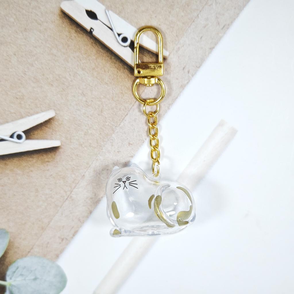 Acrylic Cats Hair Keepsakes Box 3D Design Clear Pet Memorial Display Case Keychain Pendant For Home Backpacks Decors