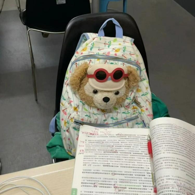 Plush Bear Duffy Schoolbag Backpack Plaid Pattern Travel Bag Gift Kids