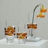 Clear Glass Vase Floral Arrangement Accessories Flower Vase Transparent Color Bubble Room Decoration Accessories