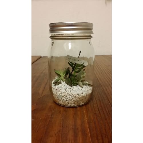 Aderia Silver Cap Storage Jars, 450mm, Set of 6, Glass Storage Containers, Canisters, Airtight Containers for Condiments, Coffee, and Beans, M6579