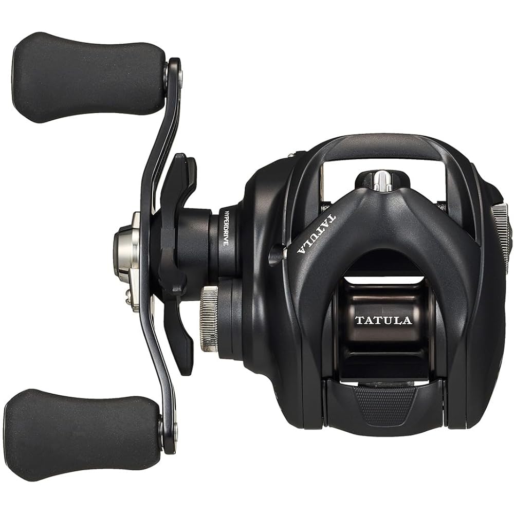 Daiwa (DAIWA) Bait Reel 24TW 100HL