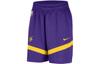 Nike Basketball Shorts Men's Dark Purple DZ3722-504