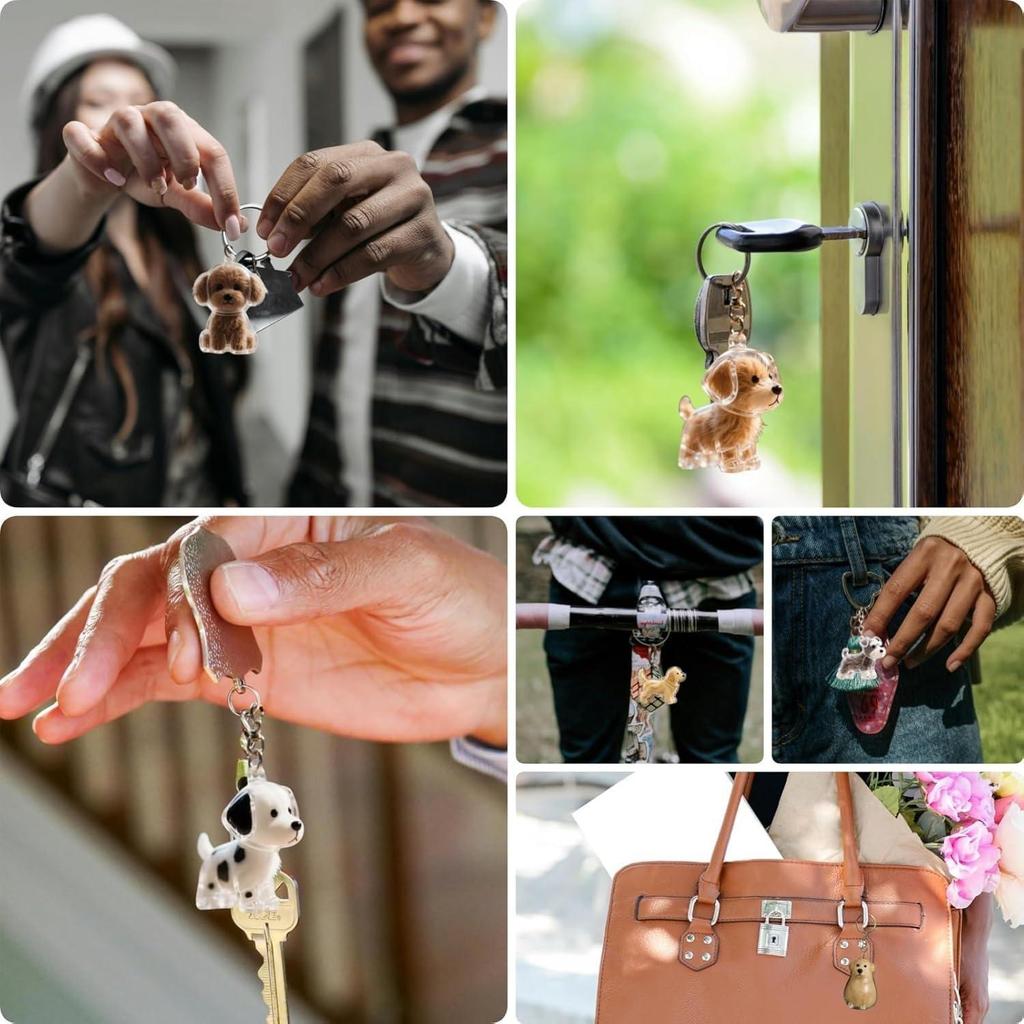 6 ks přívěsků na klíče s chlupy domácích mazlíčků, přívěsek na klíče na památku s kočičí/psí srstí, průhledný akrylový přívěsek ve tvaru kočky, kapsle pro uložení, dárek k narozeninám pro milovníky domácích mazlíčků