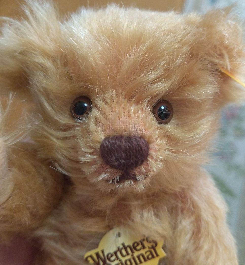 

[USED] Steiff Teddy Bear, Prize Winner, Not for Sale, Werther s Original