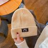 Trendy brand hats, men's and women's wool hats, autumn and winter knitted hats, couples, street thickened thermal ear hats, cold hats