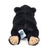 Calorata Malayan Sun Bear Plush Toy Realistic Bear Animal Toy Doll Gift Present Birthday Christmas Present (Nestling Series/Soft Touch) (Twice Tested)