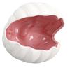 Shell Ceramic Jewelry Dish Decorative 3D Large Ceramic Shell Tray for Trinket Storage