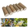 6Pcs Parrots Grinding Chew Toy Chew Training Supplies Natural Rods Molar Toy for Pet Bird Tearing Grinding Dropshiping