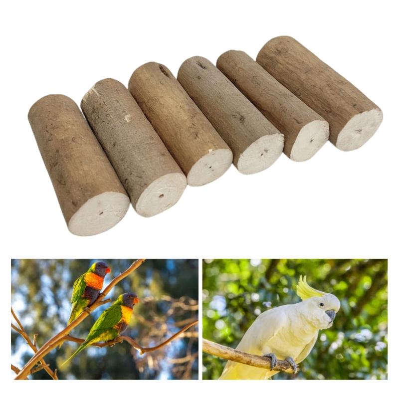 6Pcs Parrots Grinding Chew Toy Chew Training Supplies Natural Rods Molar Toy for Pet Bird Tearing Grinding Dropshiping