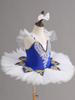 Children's Little Swan Ballet Tulle Skirt - Princess Dance Costume for Girls