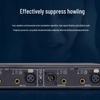 HuiDu Professional Digital Feedback Suppressor (CN Version)