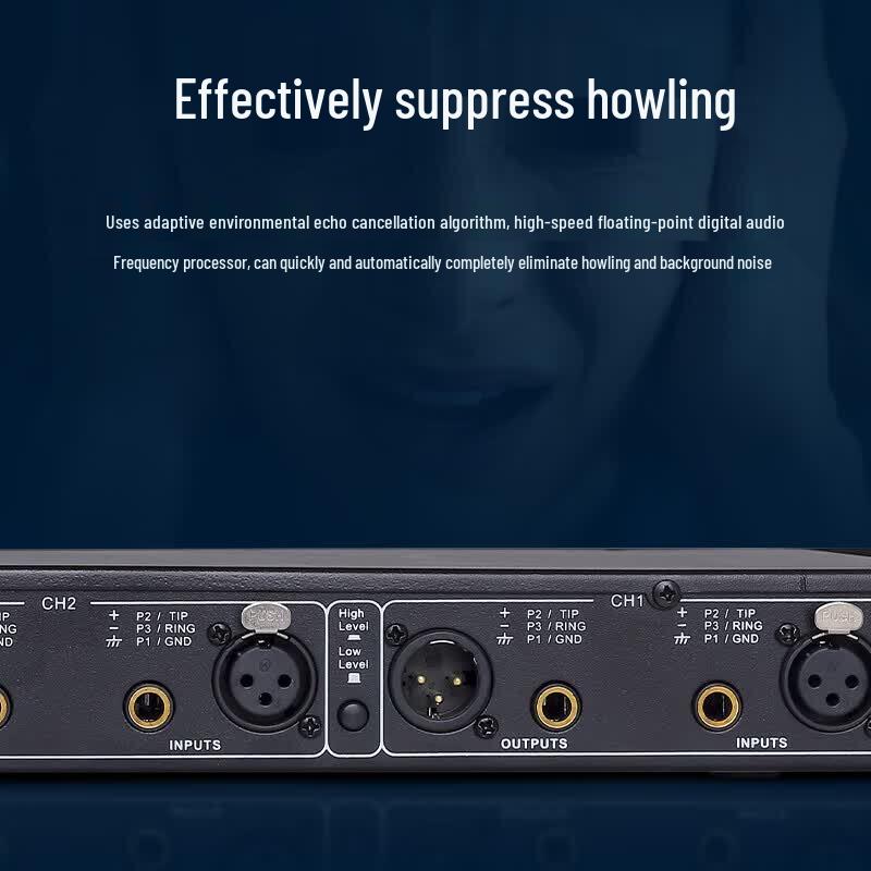 HuiDu Professional Digital Feedback Suppressor (CN Version)