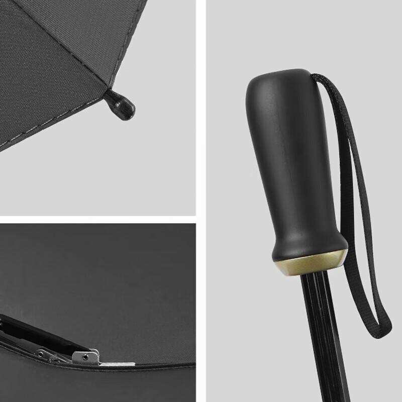 MAYDU Large Automatic 10-Rib Foldable Umbrella