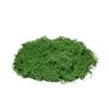 Artificial Green Moss Turf for Decorative Landscaping and Bonsai