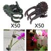 50 Pcs Orchid Clips Clips, Plant Clips for Yard Stem Vines Orchid