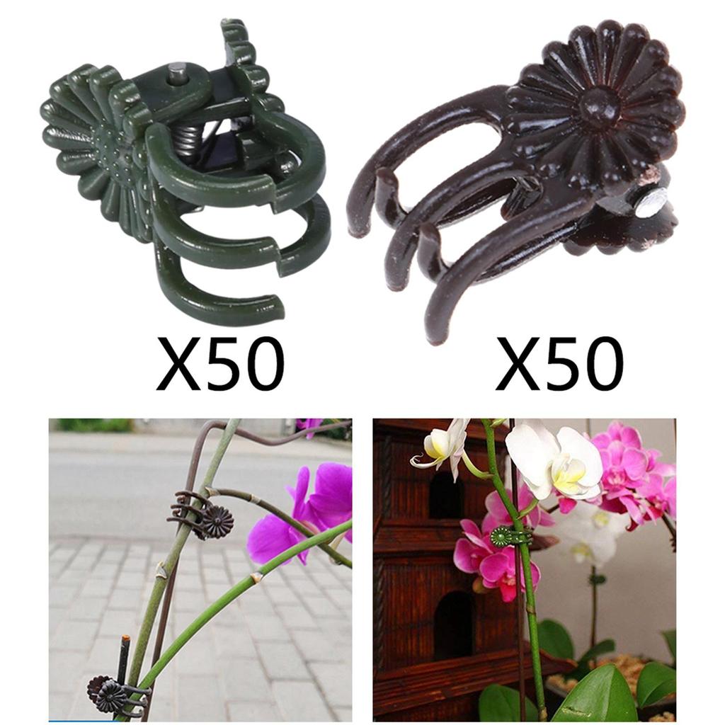 50 Pcs Orchid Clips Clips, Plant Clips for Yard Stem Vines Orchid