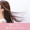 Pantene Micellar Shampoo Pumpe 500ml Reines und Rosenwasser