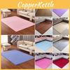 Super Absorbent Coral Velvet Bathroom Mat Offering Safety And Style For Home