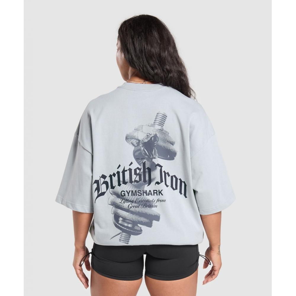 

Футболка Gymshark British Iron HeavyweighT Ice Grey Null B2b1p Gcq9 XS