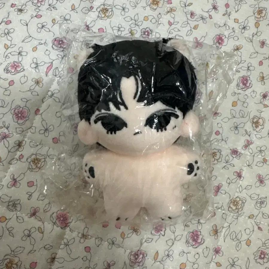 Enhypen Park Jong-sung Doll Jay Jay Enhypen