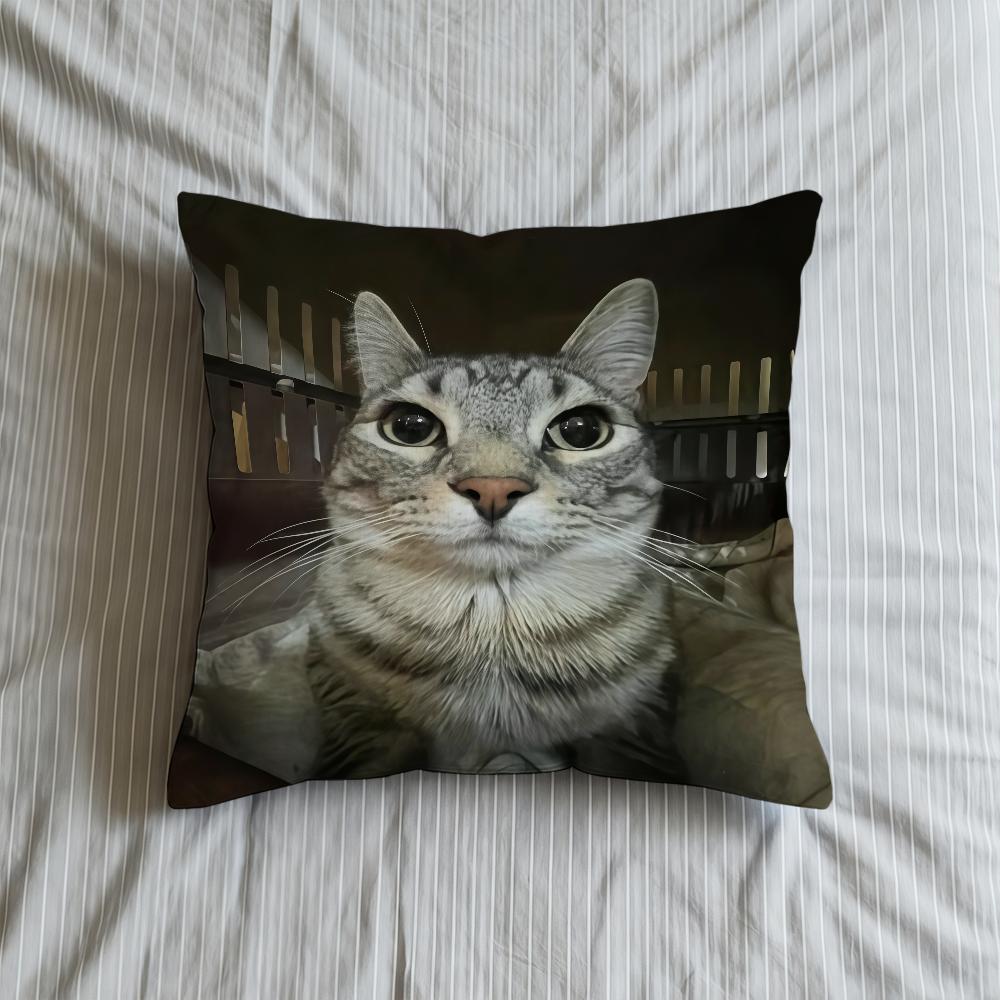 Cushion Cover Soft Meme Case Funny Sofa Living Room Home Comfortable Office Decor Cat Protective Pillow